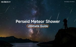 Ultimate Guide to Watching the Perseid Meteor Shower! doloremque