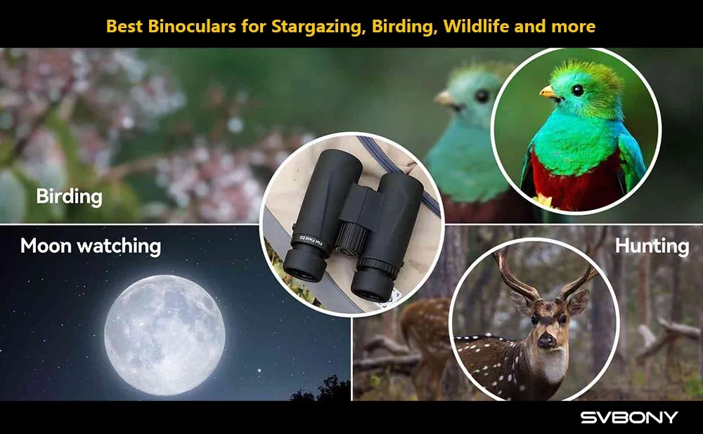 Best Binoculars for Stargazing, Birding, Wildlife and more doloremque