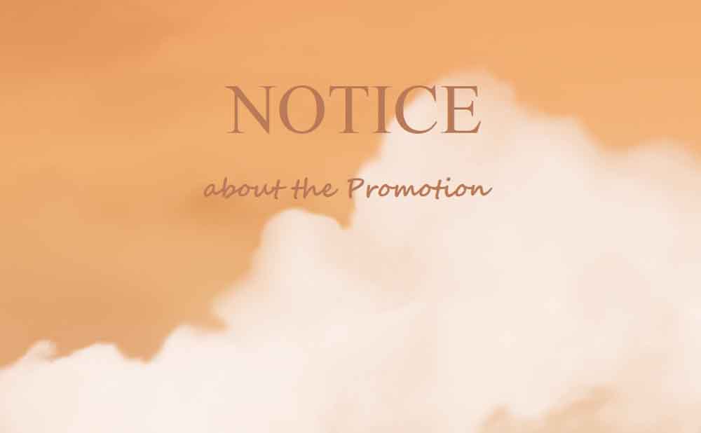 Notice about the Promotion in Nov.